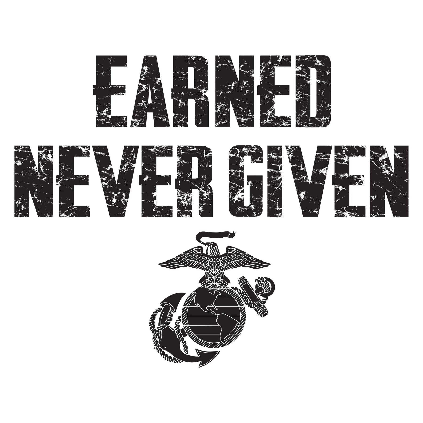 Vietnam Brothers Earned Never Given 2-Sided Tee